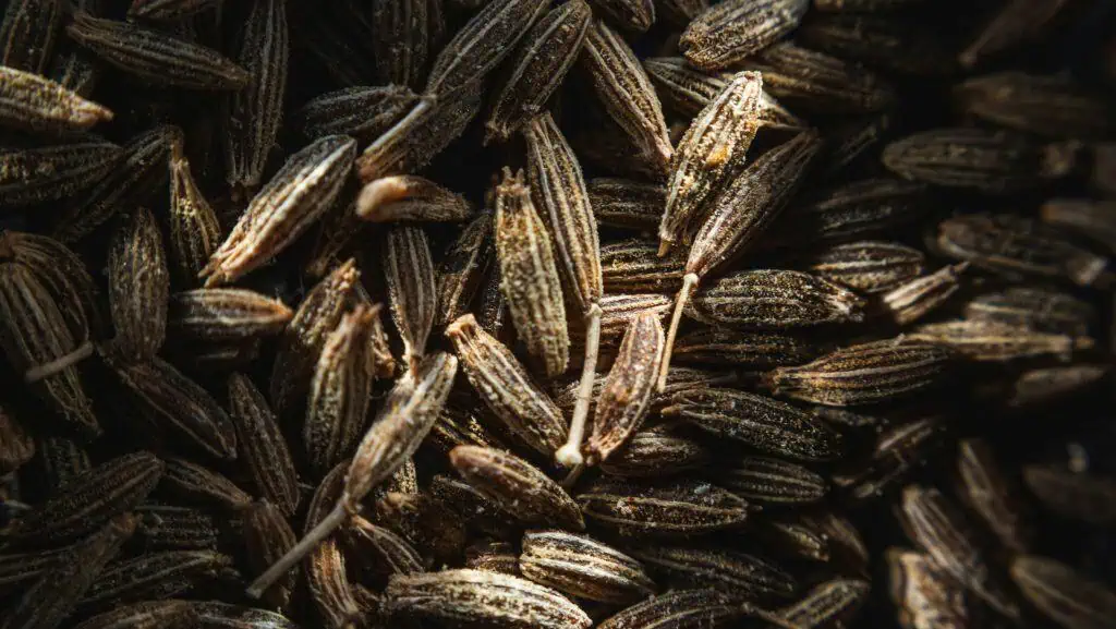 Cumin