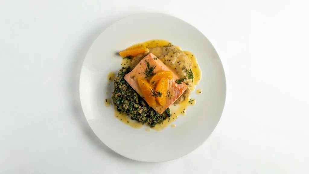 Salmon