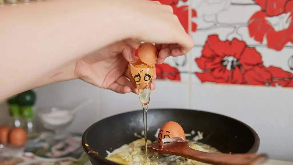 egg