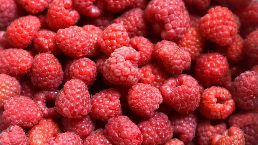 Raspberries