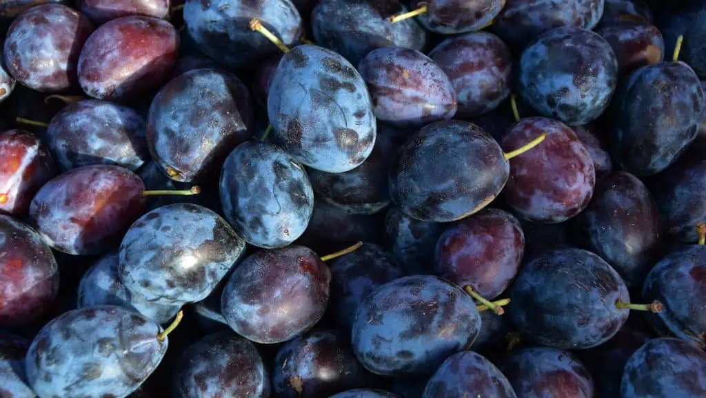 plums