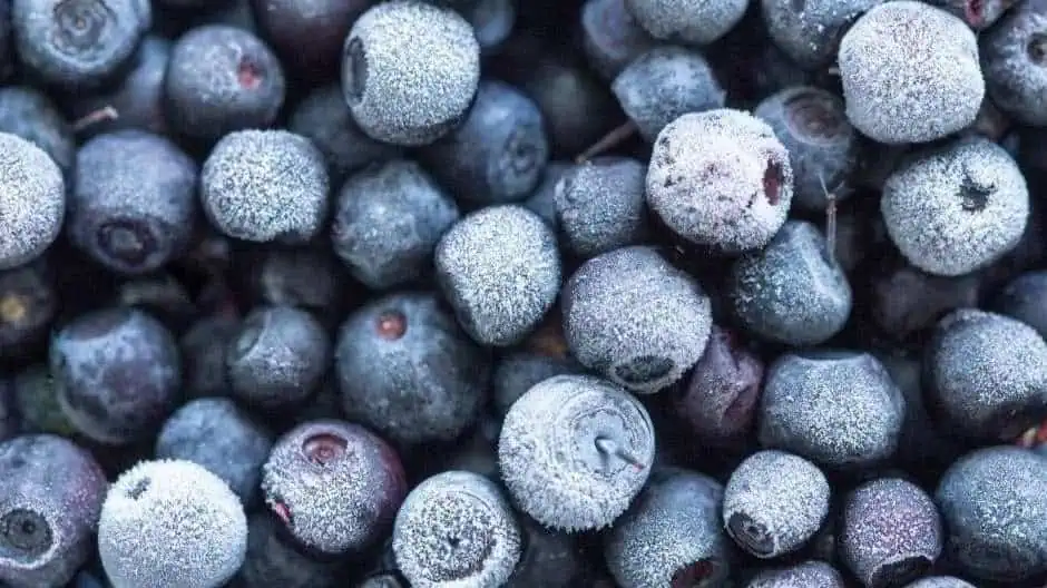 Frozen Blueberries