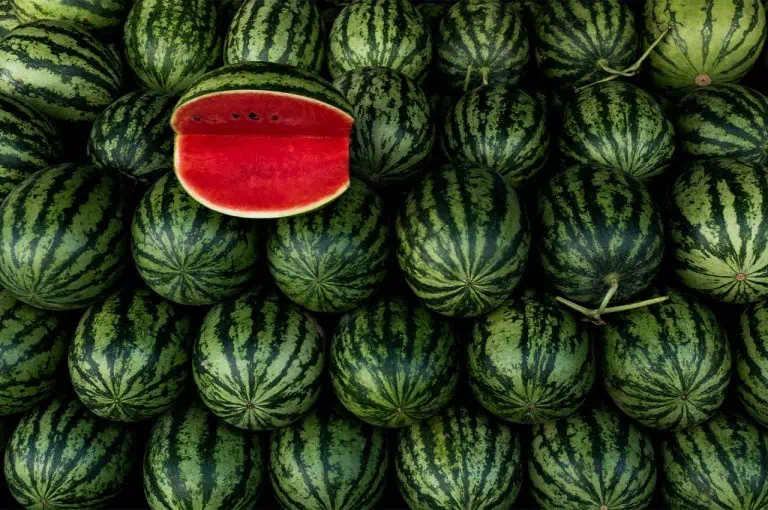 Simple and Popular Methods to Cut a Watermelon