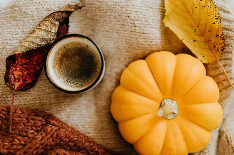 10 Drinks You’ll Be Seeing Everywhere This Fall