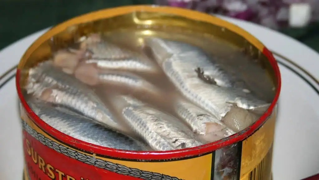 Surströmming