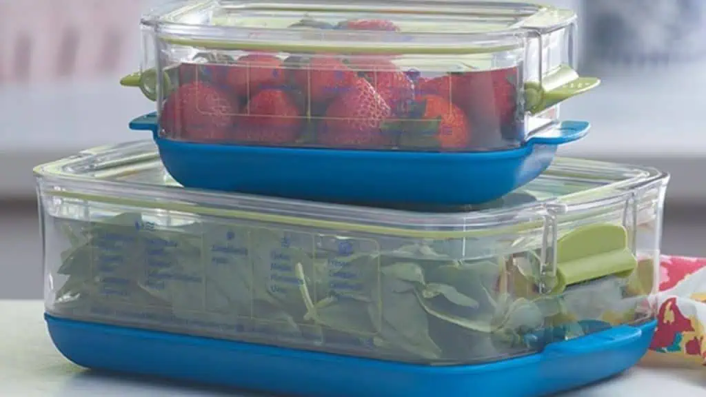 Fridge Freshness with Produce Savers