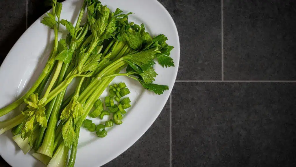 Celery: Crunchy Hydra Snack