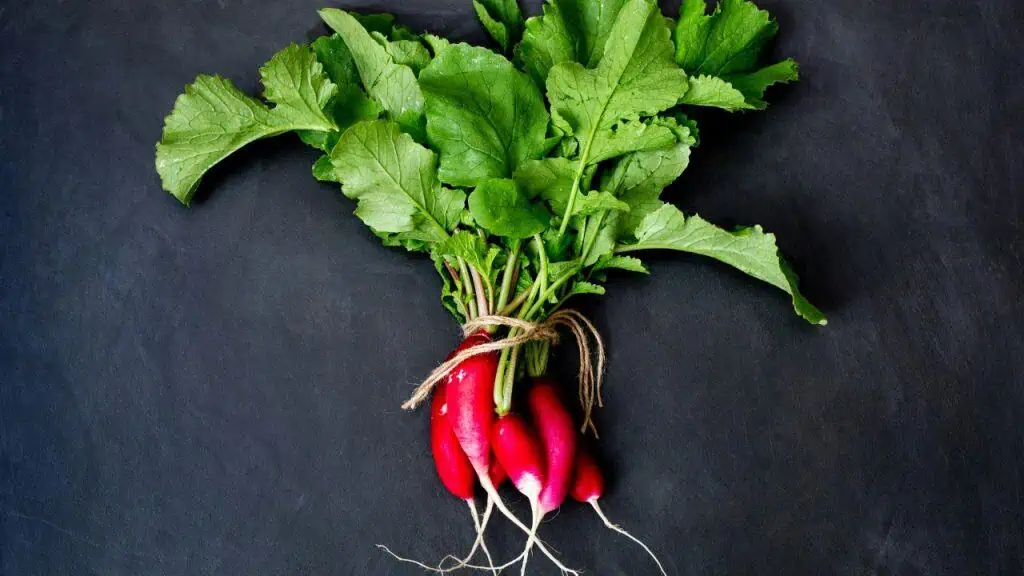 Radishes: Peppery Bite