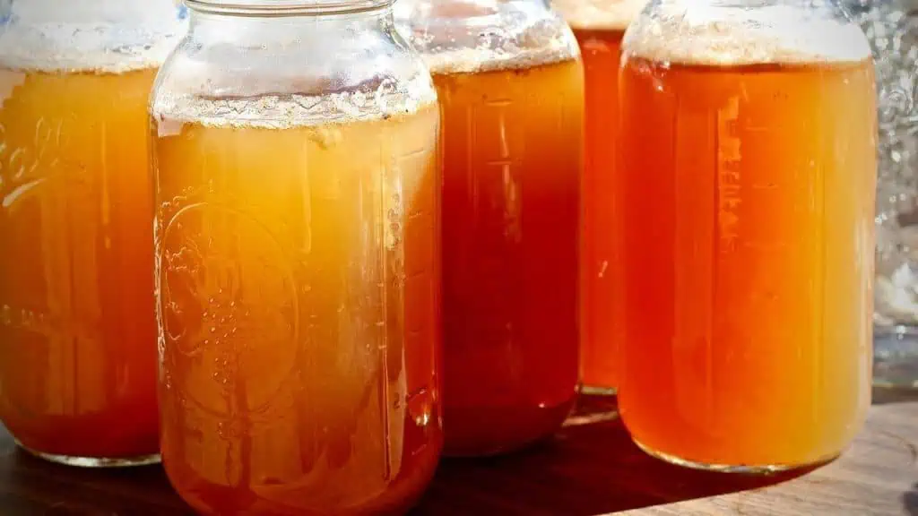 Vermont's Best Apple Cider