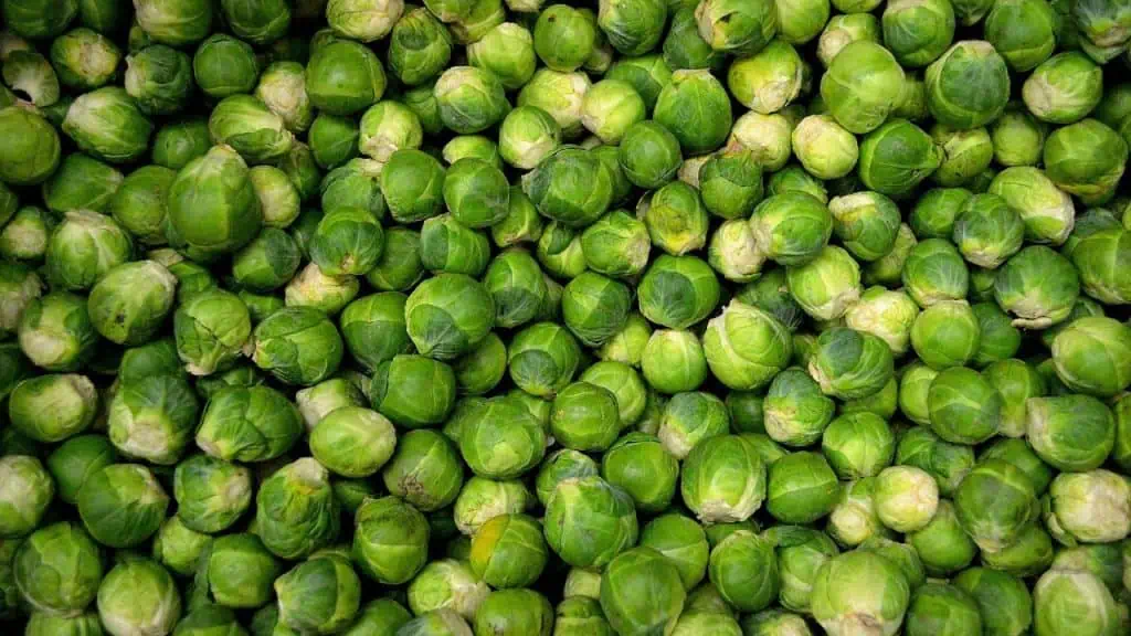 Brussels Sprouts Showdown