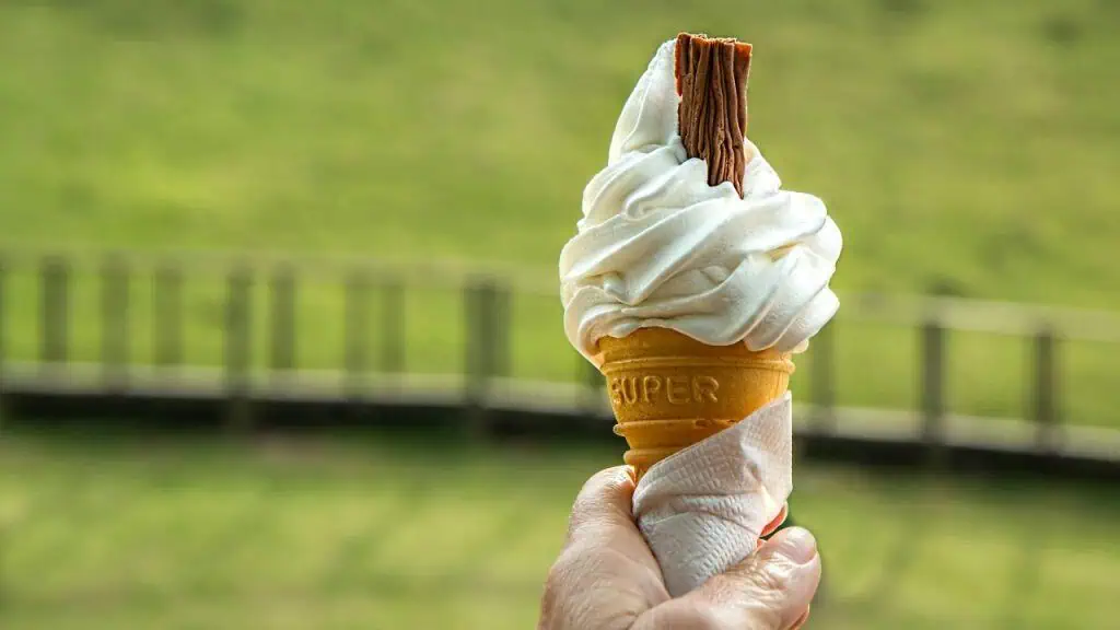 Sweet Vanilla Ice Cream