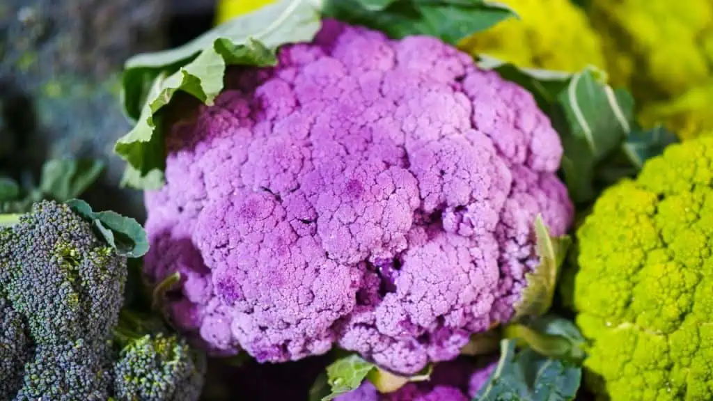 The Surprise of Purple Cauliflower
