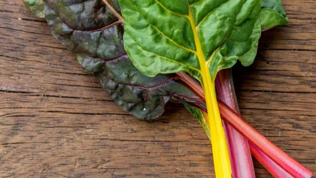 Rainbow Chard