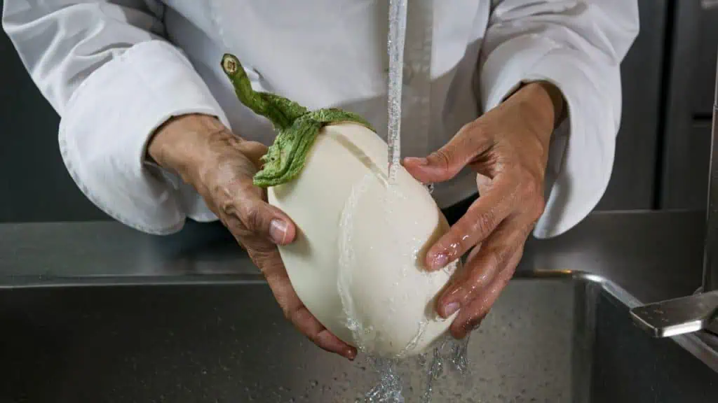 The Delight of White Eggplants