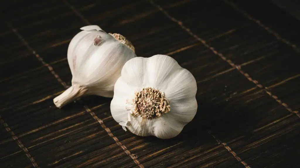 Garlic: Nature’s Antibiotic