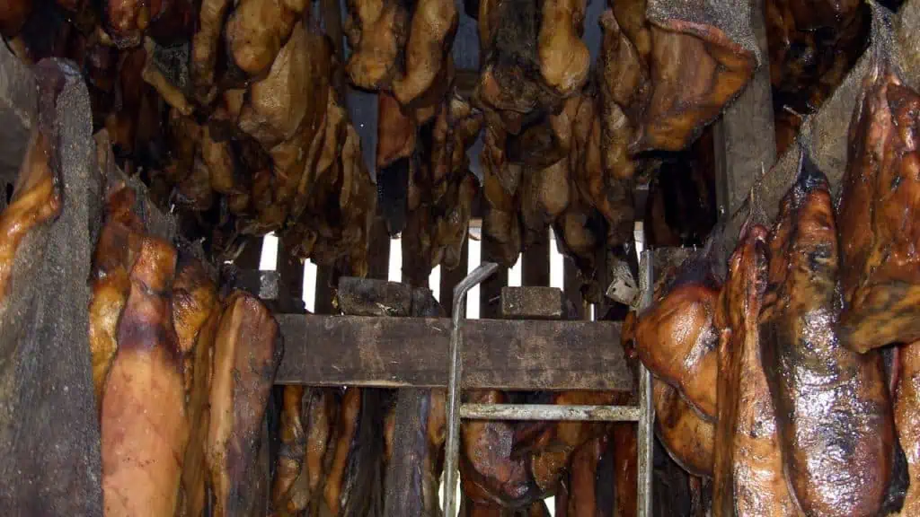 Hákarl: The Fermented Shark Experience