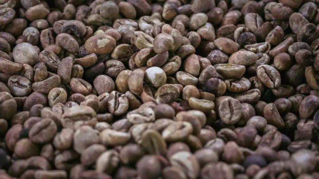 Kopi Luwak: Coffee's Rare Treasure