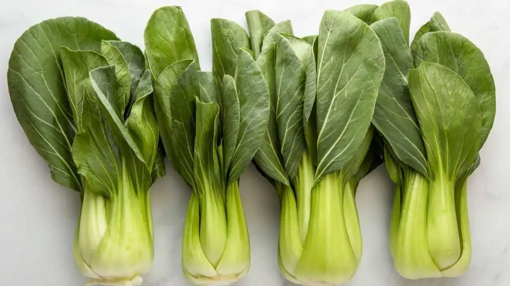 Bok Choy