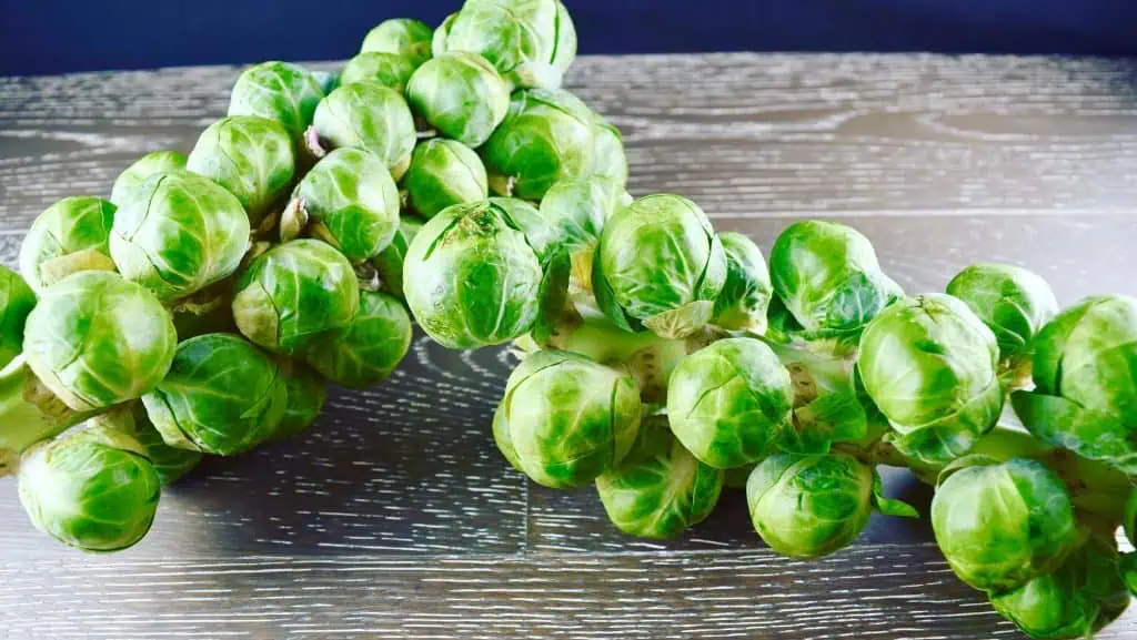 Brussels Sprouts