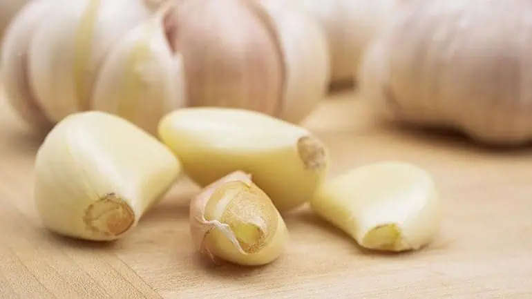 Garlic