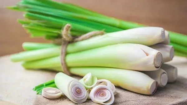 Lemongrass