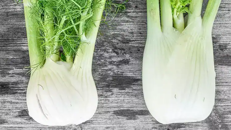 Fennel