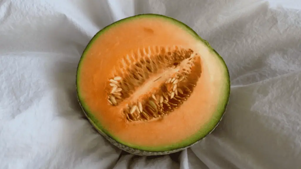 Cantaloupe