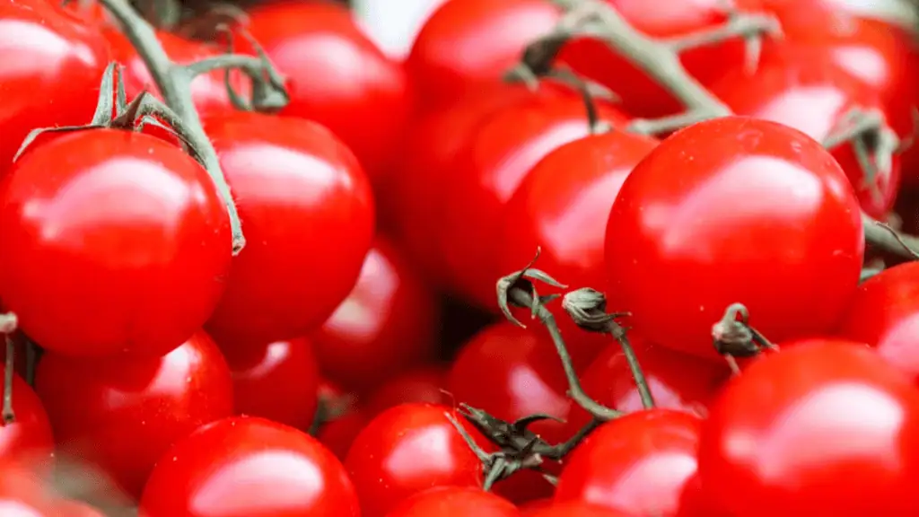 Tomatoes