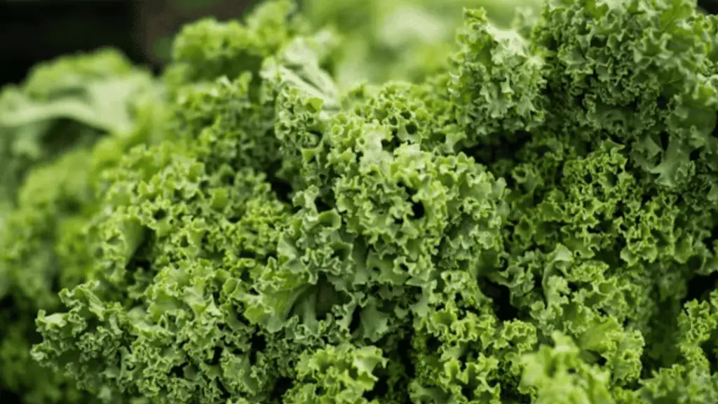 Kale