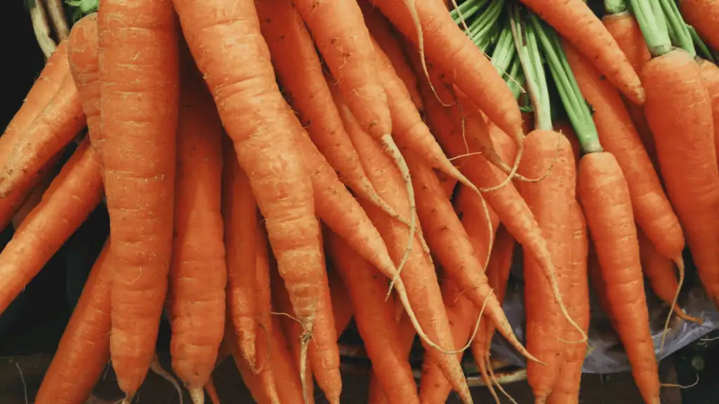 Carrots