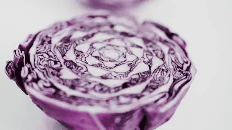 Red Cabbage