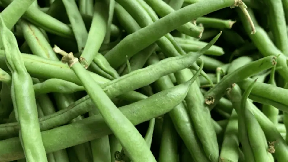 Green Beans