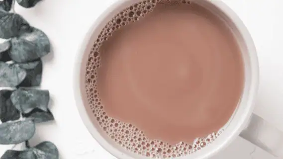 Chocolate Milk
