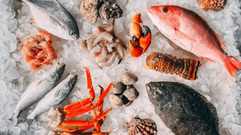 Sea Food