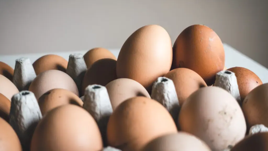 Eggs