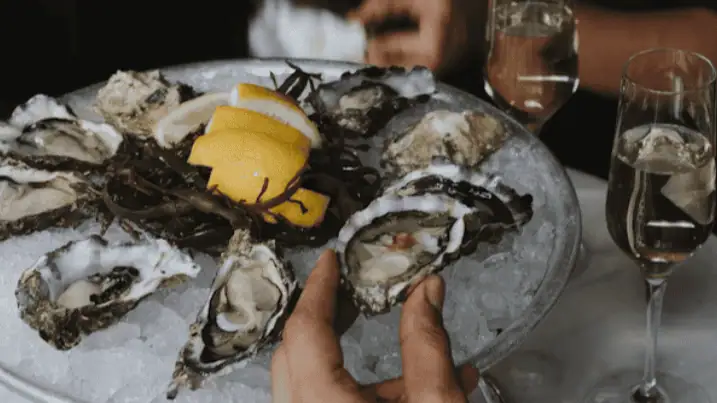 Oysters