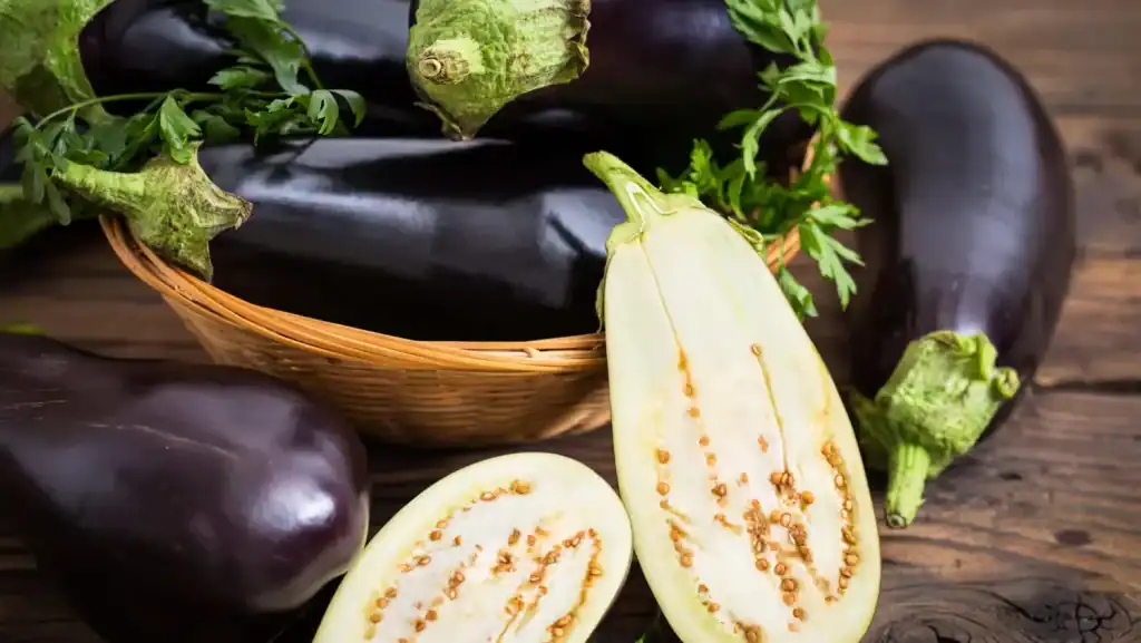 Eggplant