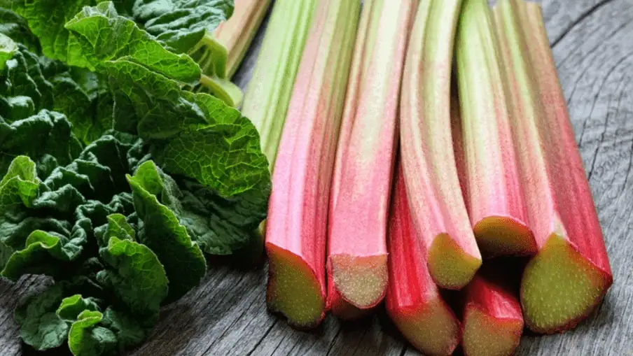Rhubarb