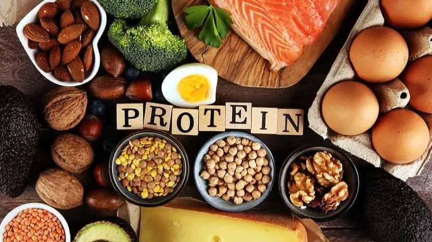 Protein