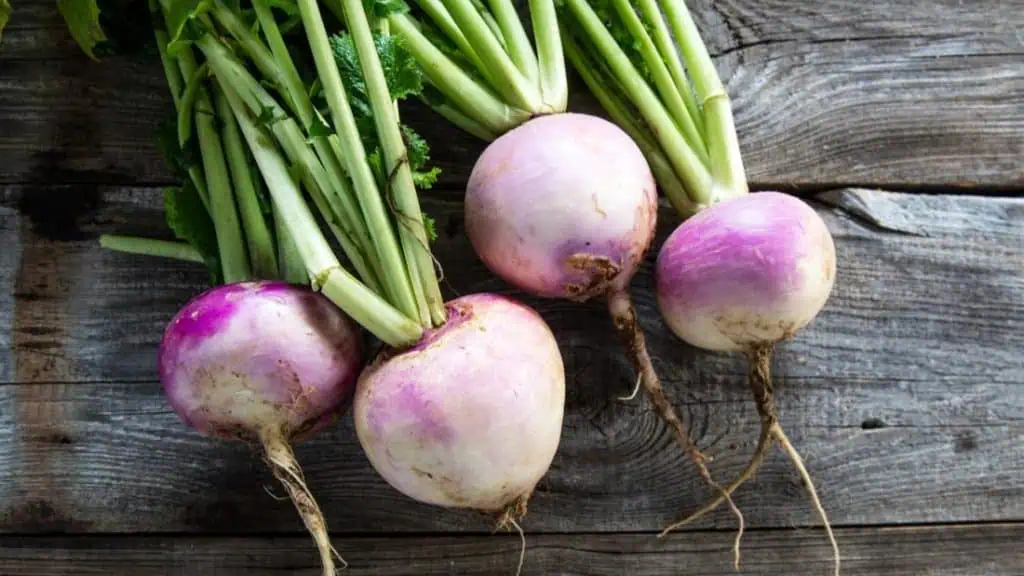 Turnips