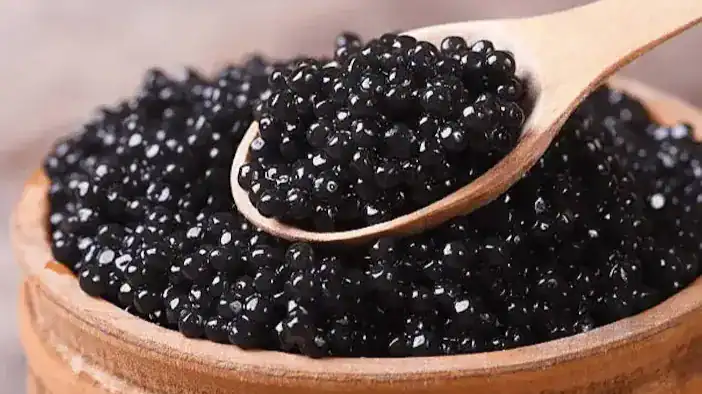 Caviar