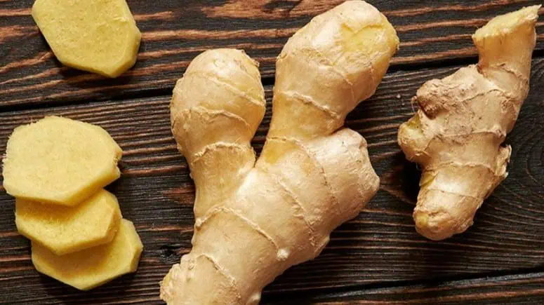 Ginger