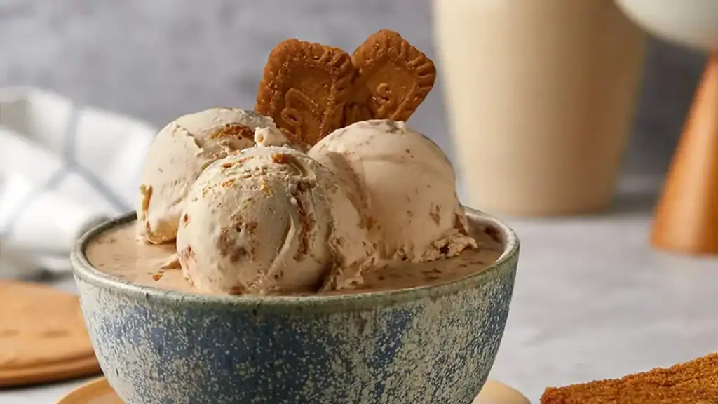 Gourmet Ice Creams