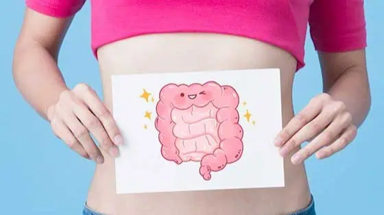 Digestion and Gut Health