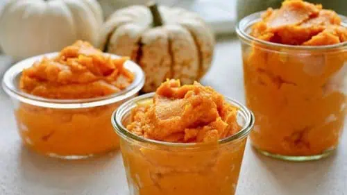 Pumpkin Puree