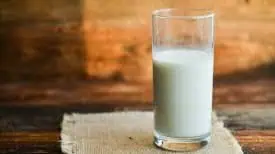 Milk