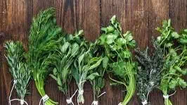 Herbs