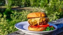 Montana's Bison Burger