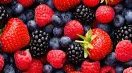 Berries
