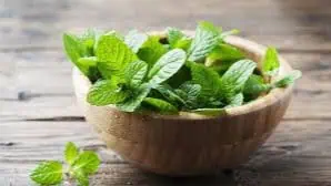 Mint